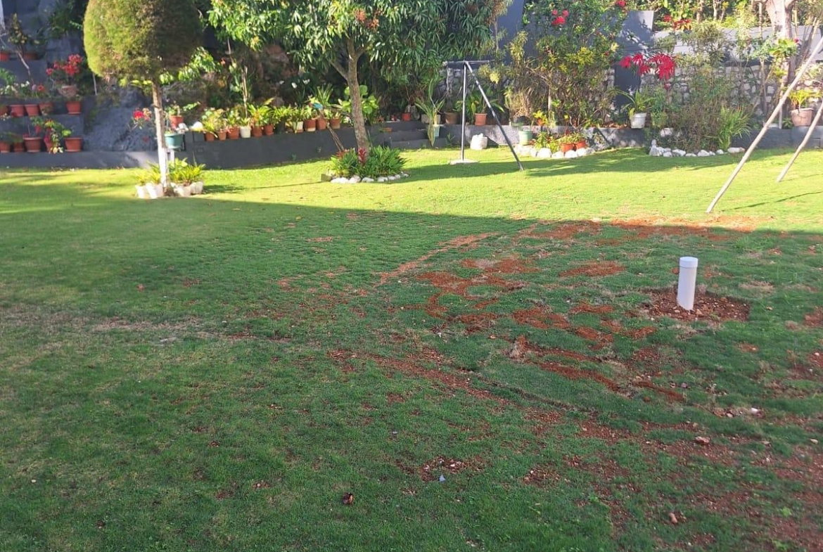 Sixth image of Lot 6, Williams Dr, Mandeville in Mandeville, Manchester, Jamaica - property is For Sale