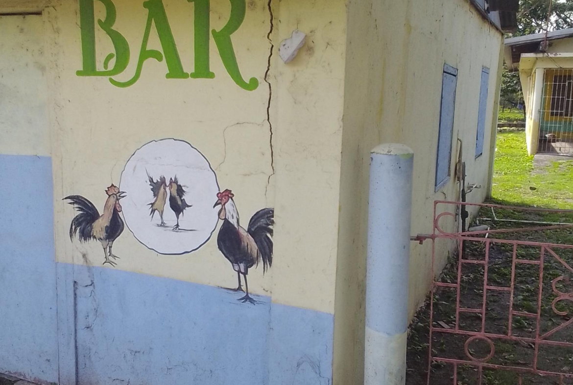 Fifth image of Lot 135 Denbigh Foga Road in May Pen, Clarendon, Jamaica - property is For Sale