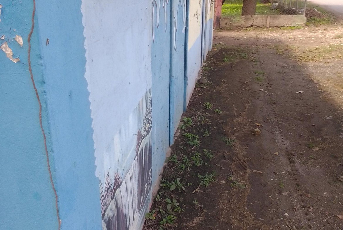 Eighth image of Lot 135 Denbigh Foga Road in May Pen, Clarendon, Jamaica - property is For Sale