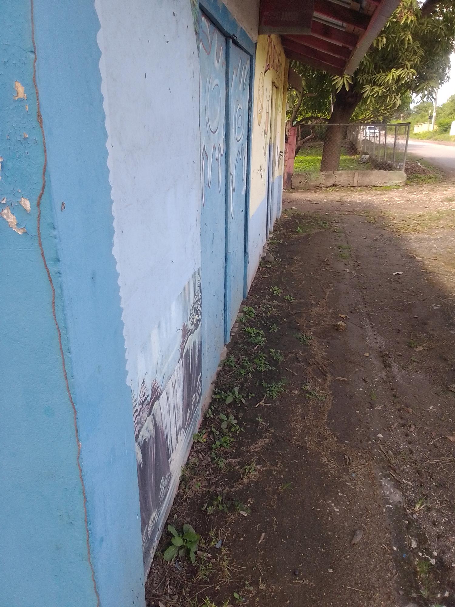 Eighth image of Lot 135 Denbigh Foga Road in May Pen, Clarendon, Jamaica - property is For Sale