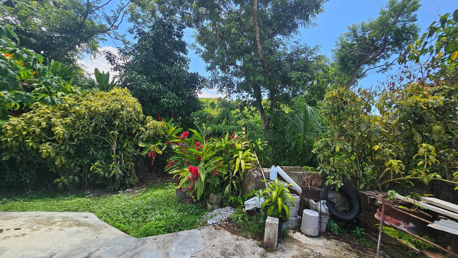 Fourth image of 642 Milano Close in Hopewell, Hanover, Jamaica - property is For Sale