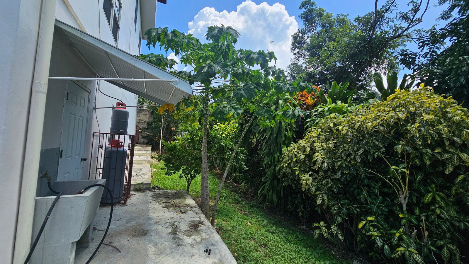 Fifth image of 642 Milano Close in Hopewell, Hanover, Jamaica - property is For Sale