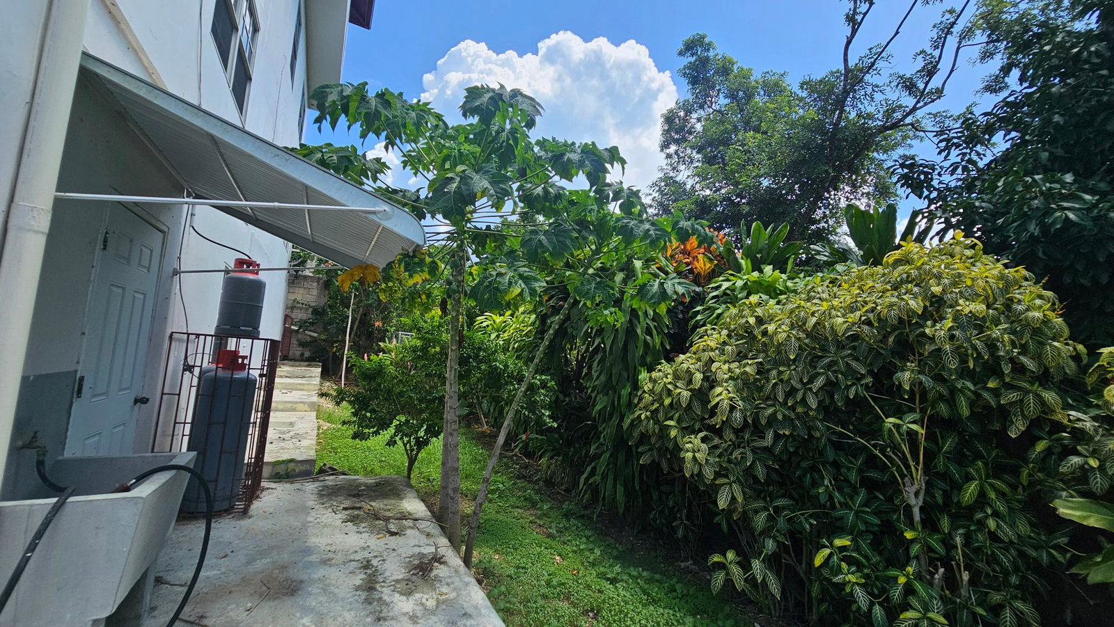 Sixth image of 642 Milano Close in Hopewell, Hanover, Jamaica - property is For Sale