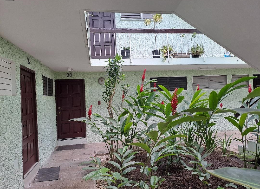 Second image of 14 Clieveden Avenue in Kingston 6, St. Andrew, Jamaica - property is For Rent