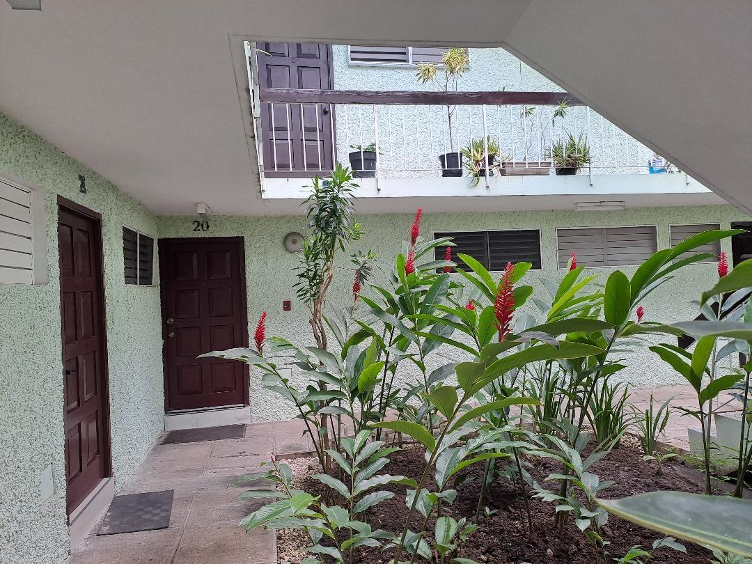 Second image of 14 Clieveden Avenue in Kingston 6, St. Andrew, Jamaica - property is For Rent