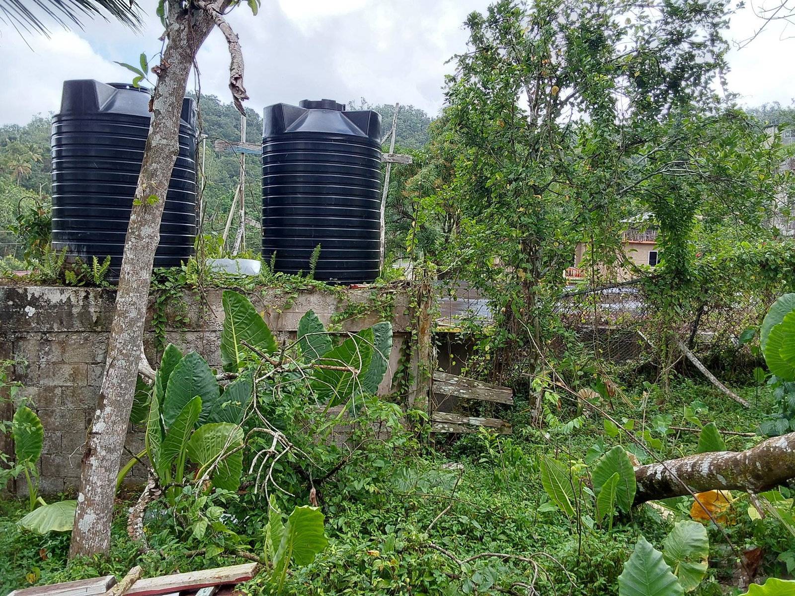 Sixteenth image of Cold Spring Cross Roads in Cold Spring, Hanover, Jamaica - property is For Sale