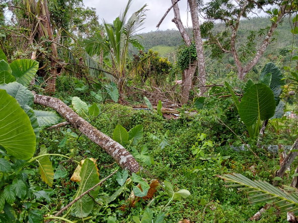 Seventeenth image of Cold Spring Cross Roads in Cold Spring, Hanover, Jamaica - property is For Sale