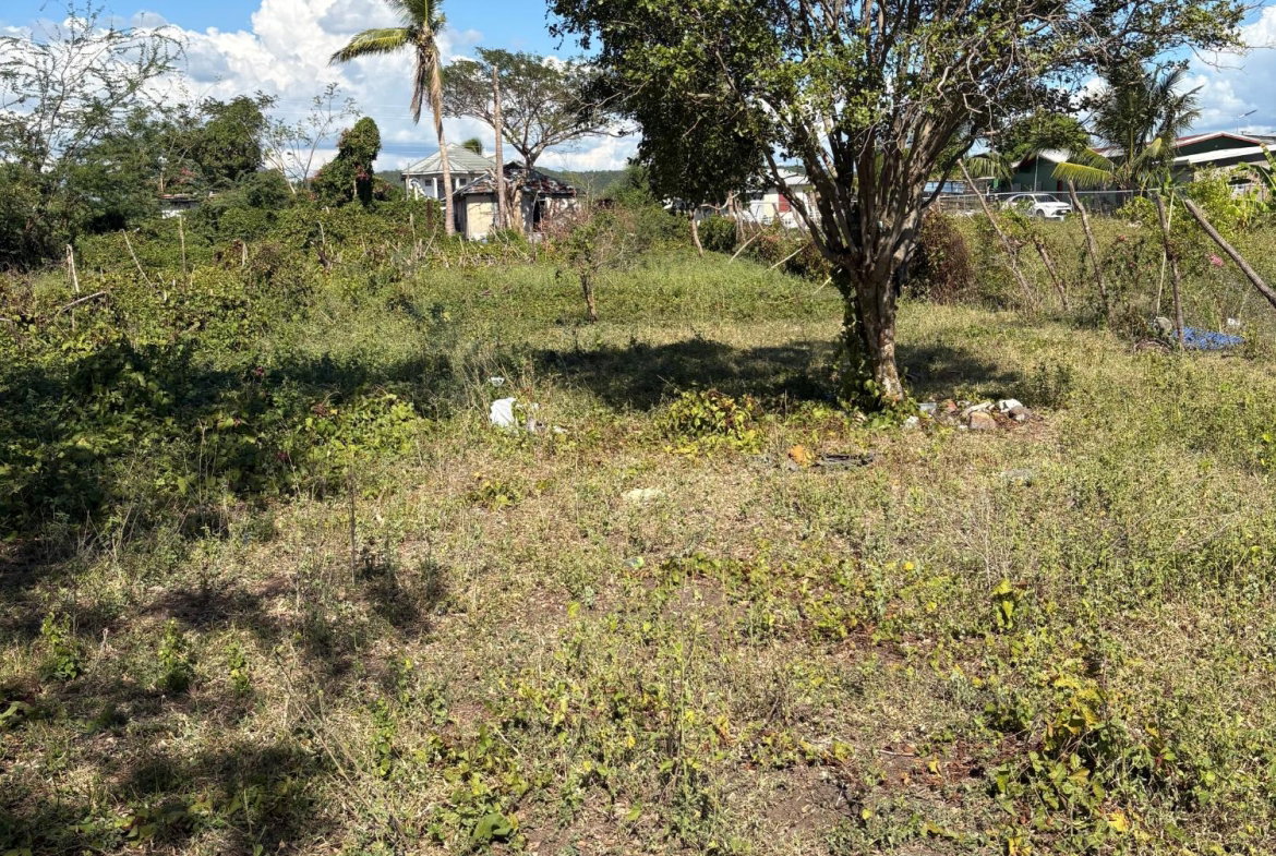 Fourth image of Race Course in Race Course, Clarendon, Jamaica - property is For Sale