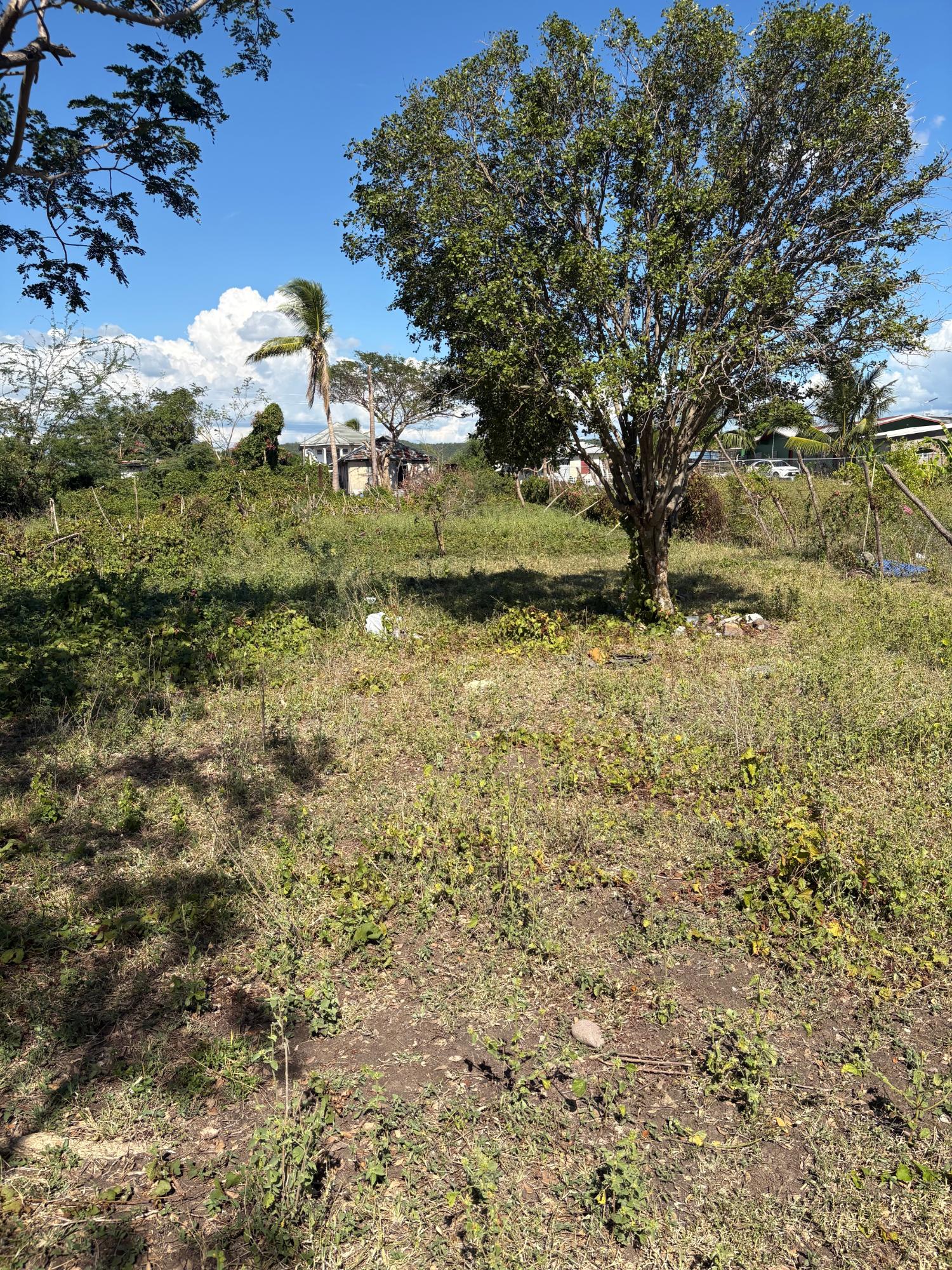 Fourth image of Race Course in Race Course, Clarendon, Jamaica - property is For Sale