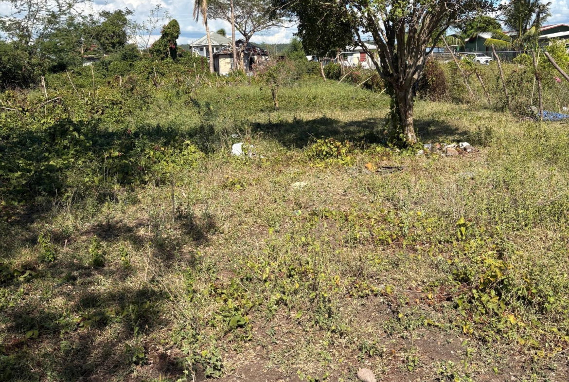 Fifth image of Race Course in Race Course, Clarendon, Jamaica - property is For Sale