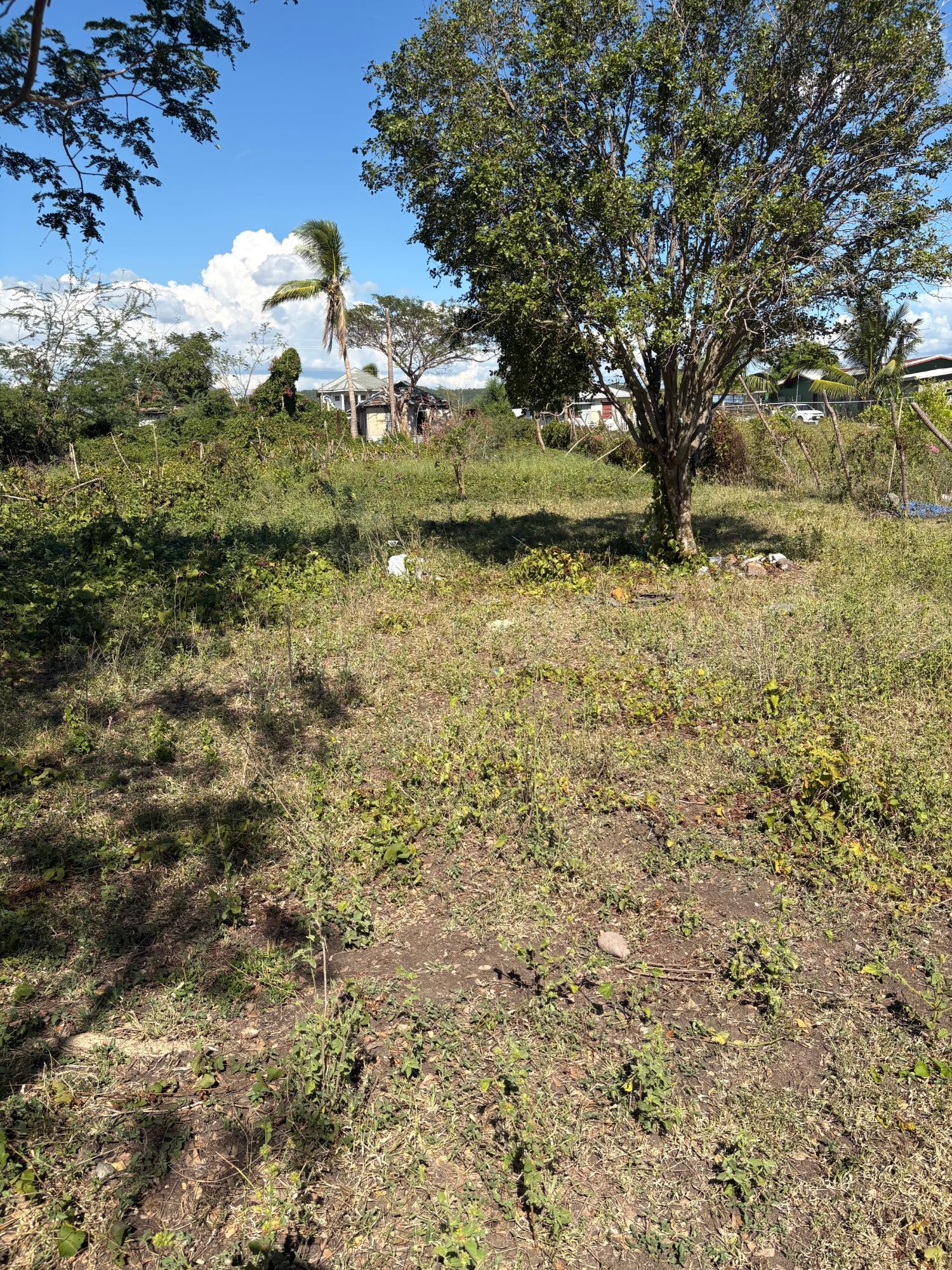 Fifth image of Race Course in Race Course, Clarendon, Jamaica - property is For Sale