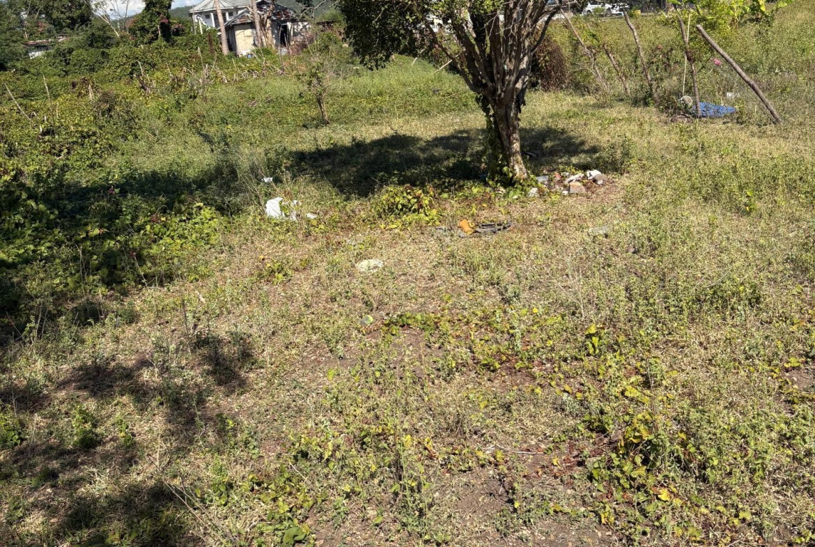 Sixth image of Race Course in Race Course, Clarendon, Jamaica - property is For Sale