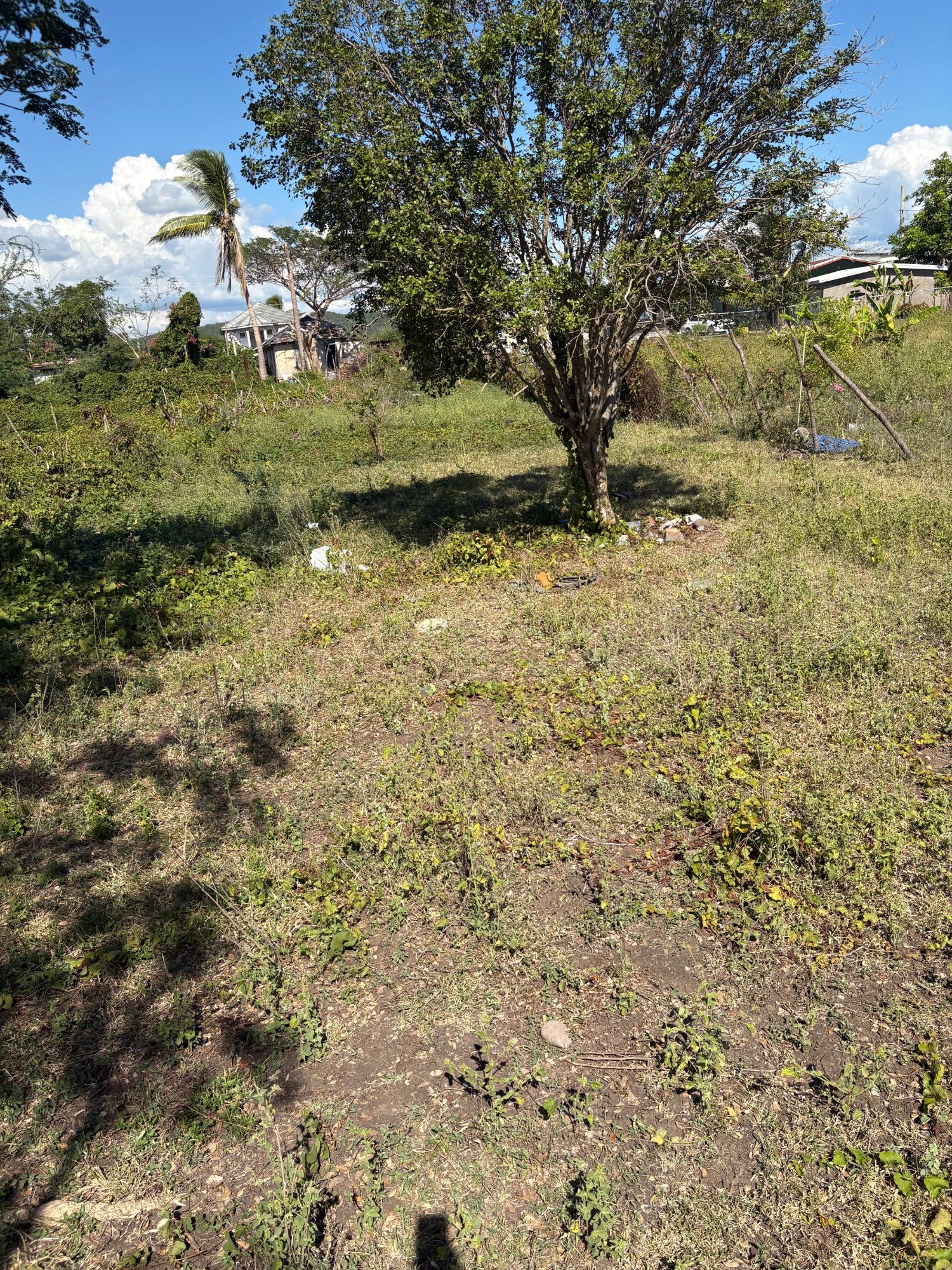 Sixth image of Race Course in Race Course, Clarendon, Jamaica - property is For Sale