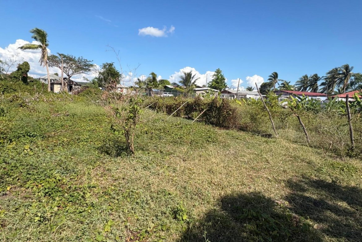 Seventh image of Race Course in Race Course, Clarendon, Jamaica - property is For Sale