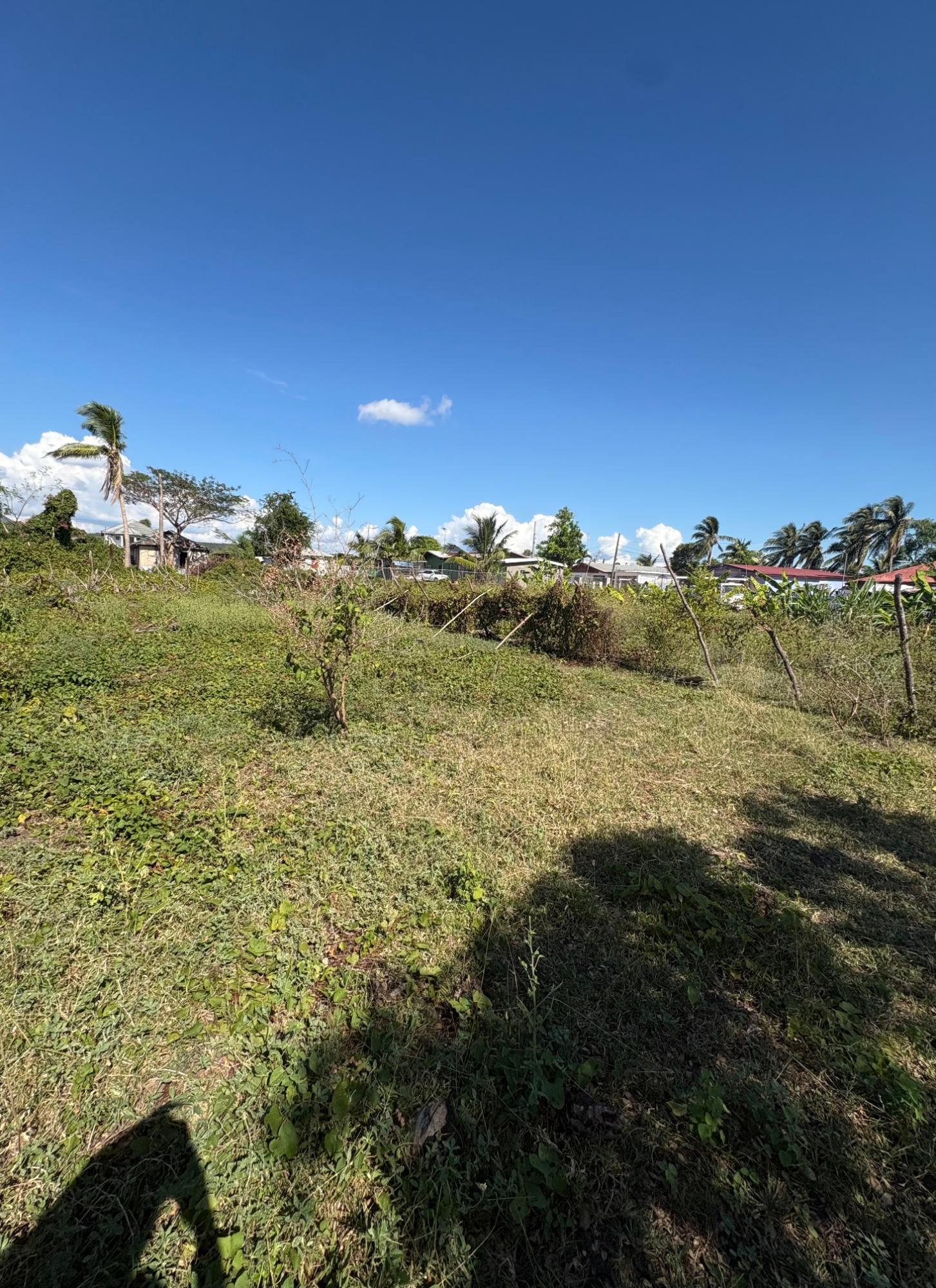 Seventh image of Race Course in Race Course, Clarendon, Jamaica - property is For Sale