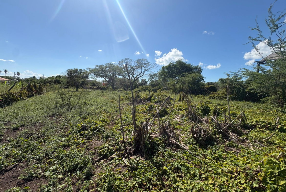 Eighth image of Race Course in Race Course, Clarendon, Jamaica - property is For Sale