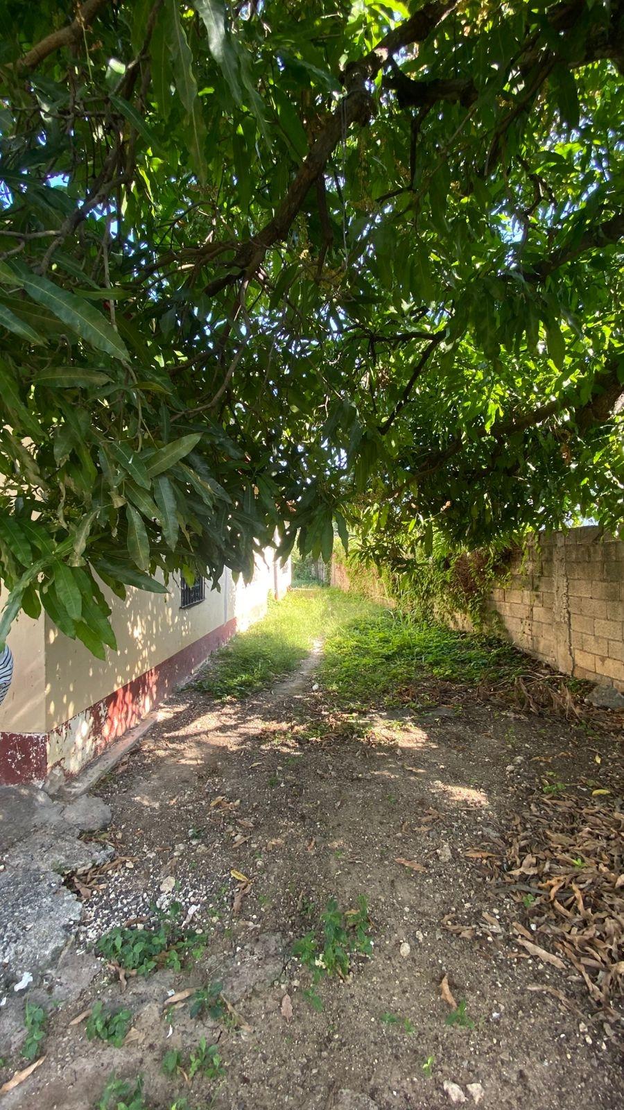 Twenty-Fifth image of 6 Nelson Street in May Pen, Clarendon, Jamaica - property is For Sale