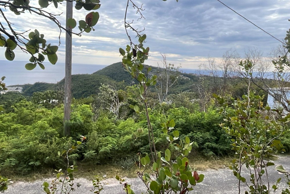 Second image of 26 Santa Cruz Road (block a) in Spring Garden, St. Thomas, Jamaica - property is For Sale