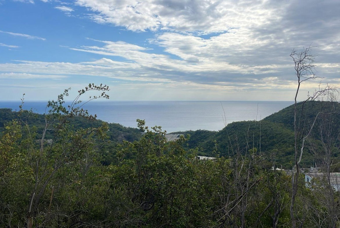 Third image of 26 Santa Cruz Road (block a) in Spring Garden, St. Thomas, Jamaica - property is For Sale