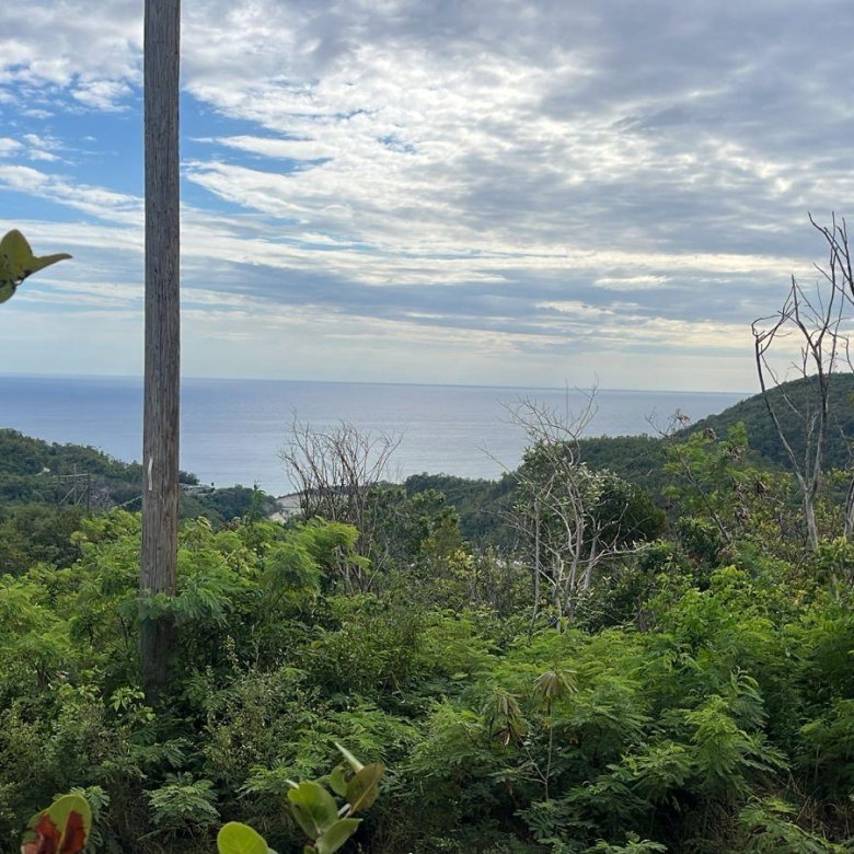 First image of 26 Santa Cruz Road (block a) in Spring Garden, St. Thomas, Jamaica - property is For Sale