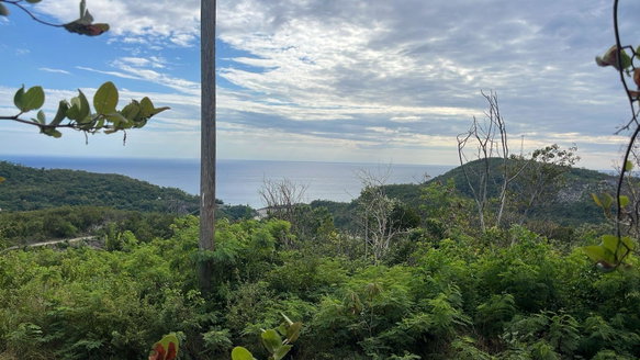 First image of 26 Santa Cruz Road (block a) in Spring Garden, St. Thomas, Jamaica - property is For Sale