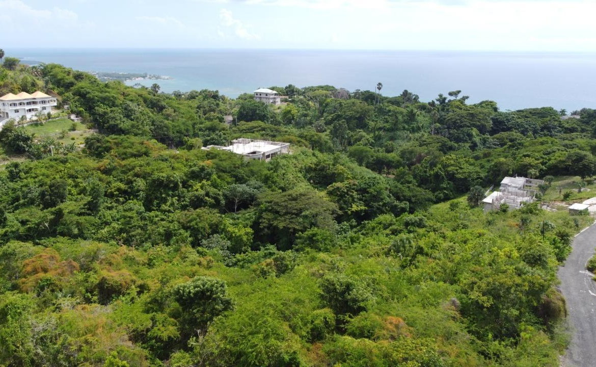 Second image of Culloden, Whitehouse in White House WD, Westmoreland, Jamaica - property is For Sale