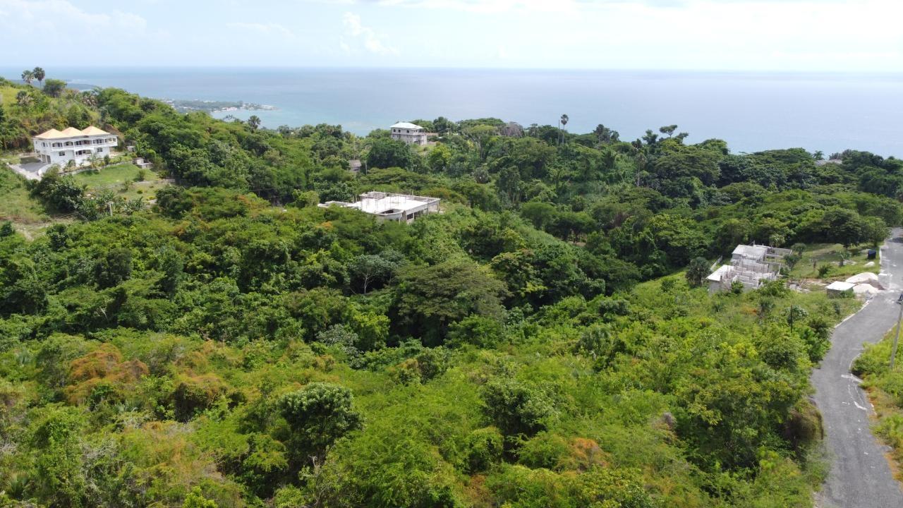 0.55-Acre-Residential-Lot-for-Sale-in-Culloden-Whitehouse-Westmoreland-Jamaica Second image of Culloden, Whitehouse in White House WD, Westmoreland, Jamaica - property is For Sale