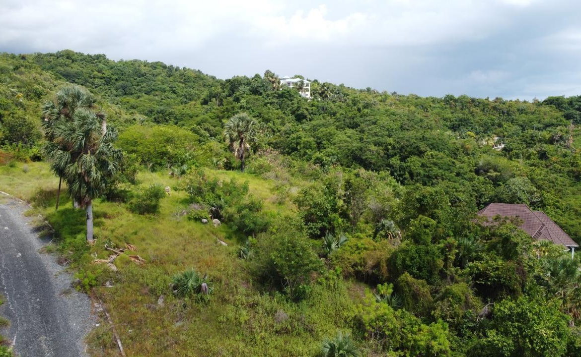Eleventh image of Culloden, Whitehouse in White House WD, Westmoreland, Jamaica - property is For Sale