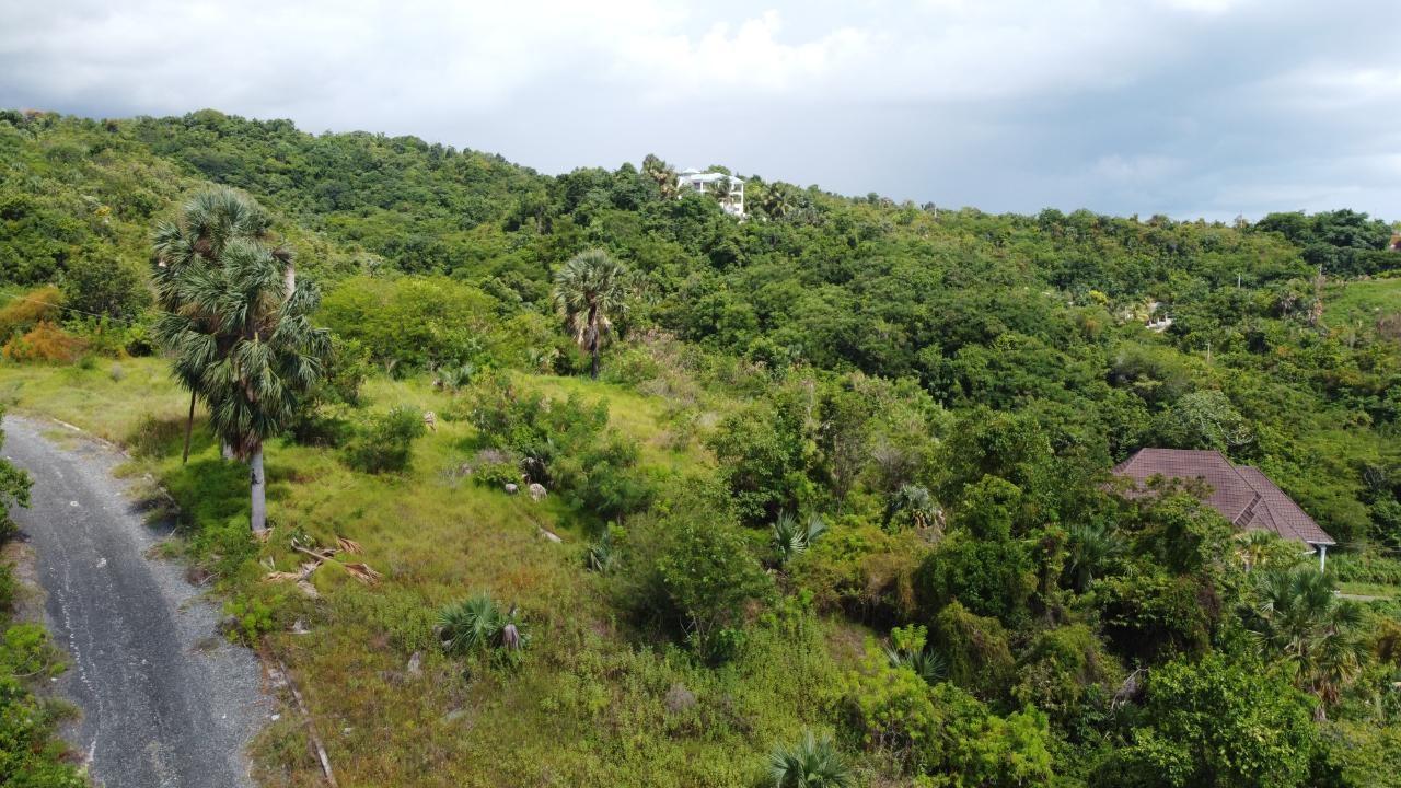 0.55-Acre-Residential-Lot-for-Sale-in-Culloden-Whitehouse-Westmoreland-Jamaica Eleventh image of Culloden, Whitehouse in White House WD, Westmoreland, Jamaica - property is For Sale
