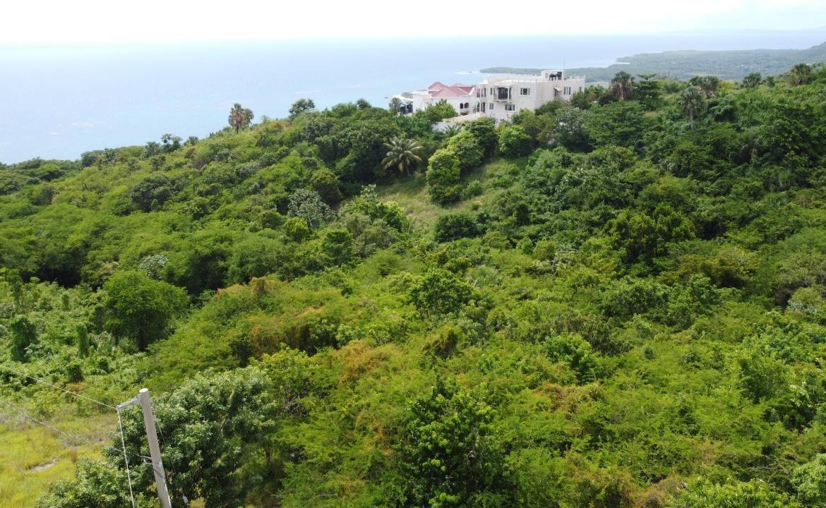 First image of Culloden, Whitehouse in White House WD, Westmoreland, Jamaica - property is For Sale