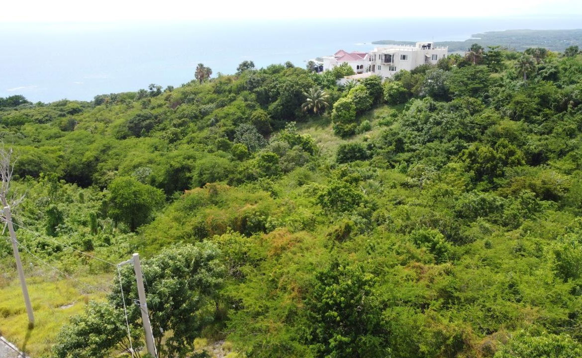 Thirteenth image of Culloden, Whitehouse in White House WD, Westmoreland, Jamaica - property is For Sale