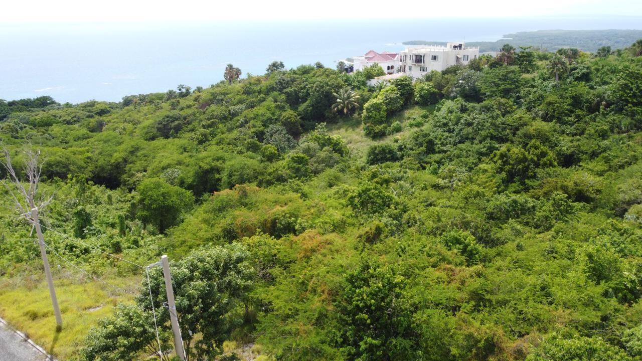 0.55-Acre-Residential-Lot-for-Sale-in-Culloden-Whitehouse-Westmoreland-Jamaica Thirteenth image of Culloden, Whitehouse in White House WD, Westmoreland, Jamaica - property is For Sale