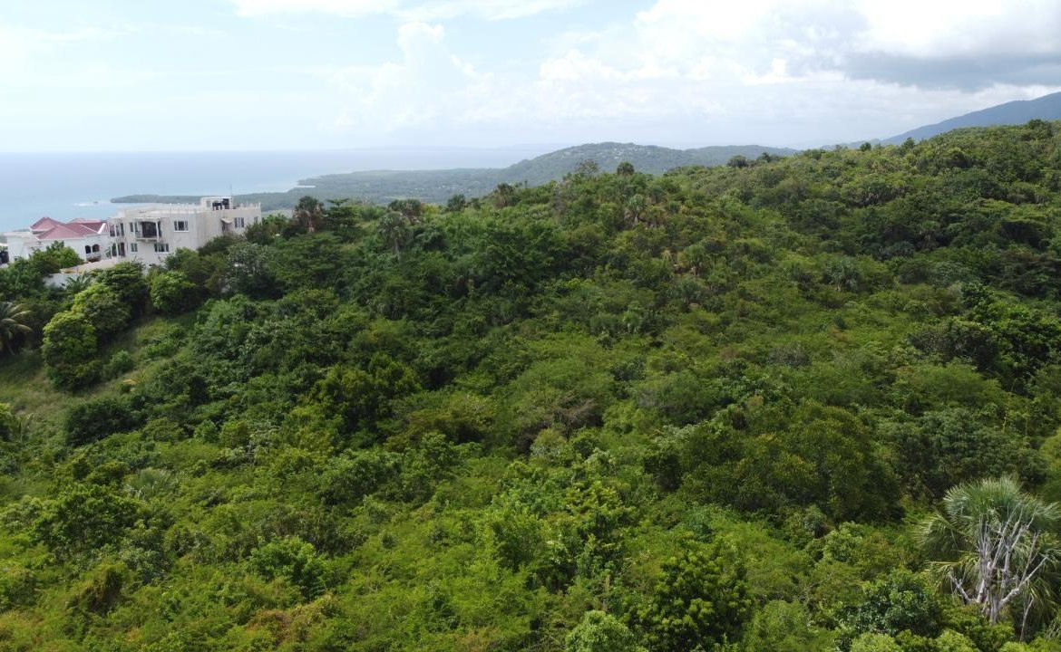 Fifteenth image of Culloden, Whitehouse in White House WD, Westmoreland, Jamaica - property is For Sale