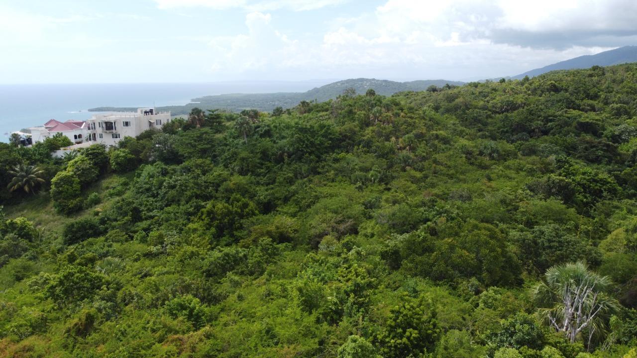 0.55-Acre-Residential-Lot-for-Sale-in-Culloden-Whitehouse-Westmoreland-Jamaica Fifteenth image of Culloden, Whitehouse in White House WD, Westmoreland, Jamaica - property is For Sale