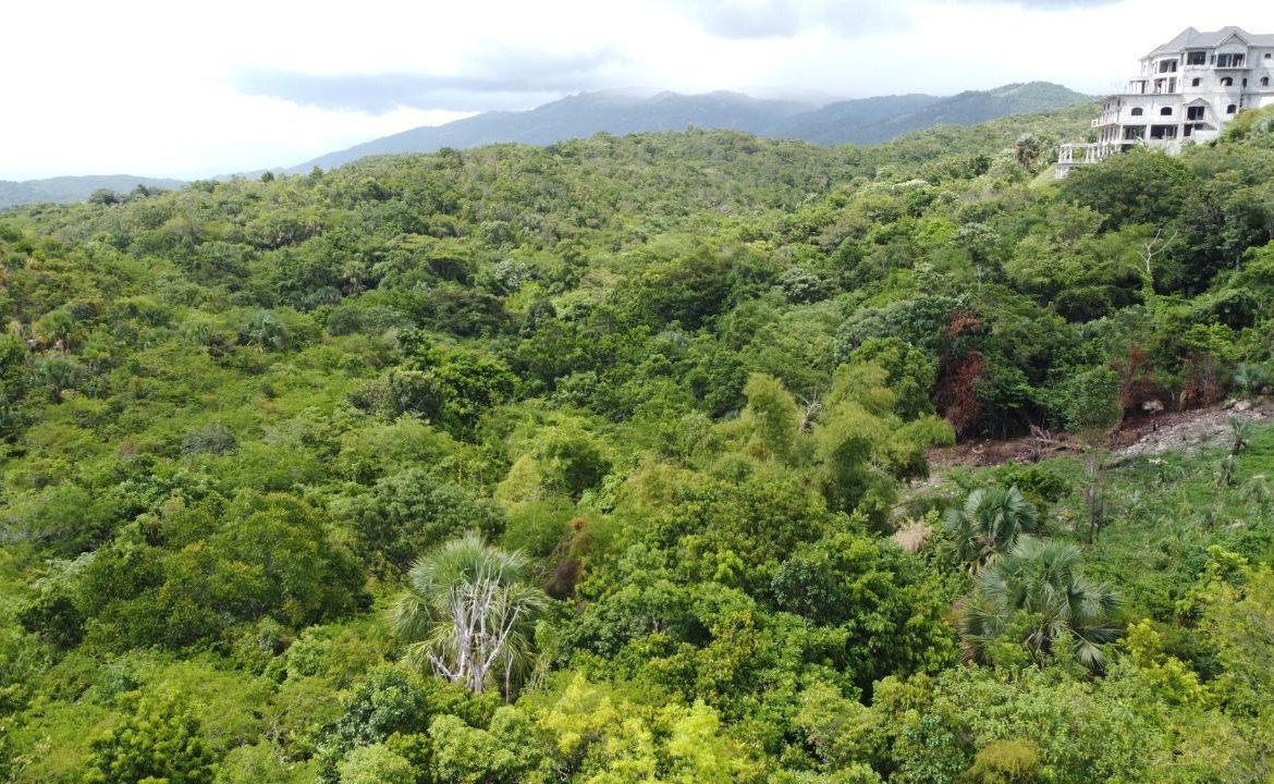 Sixteenth image of Culloden, Whitehouse in White House WD, Westmoreland, Jamaica - property is For Sale