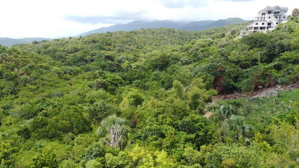 Sixteenth image of Culloden, Whitehouse in White House WD, Westmoreland, Jamaica - property is For Sale