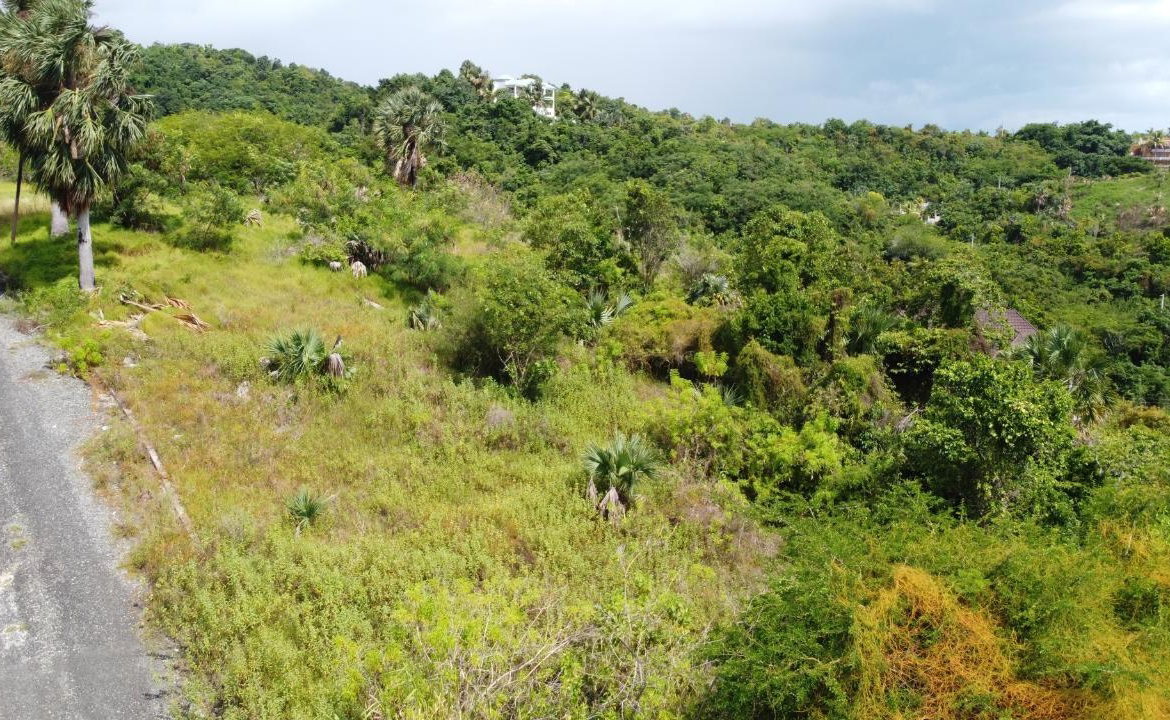 Nineteenth image of Culloden, Whitehouse in White House WD, Westmoreland, Jamaica - property is For Sale
