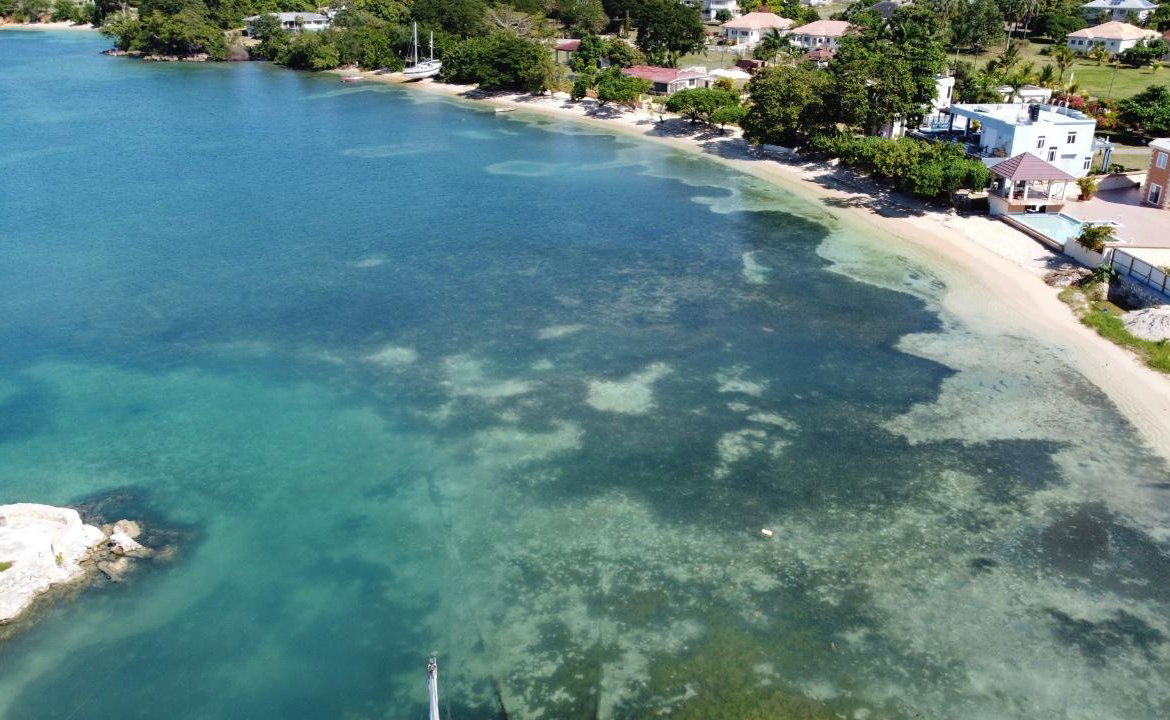 Twentieth image of Culloden, Whitehouse in White House WD, Westmoreland, Jamaica - property is For Sale
