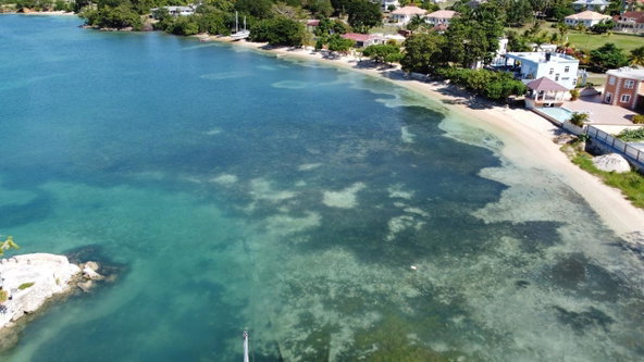 Twentieth image of Culloden, Whitehouse in White House WD, Westmoreland, Jamaica - property is For Sale