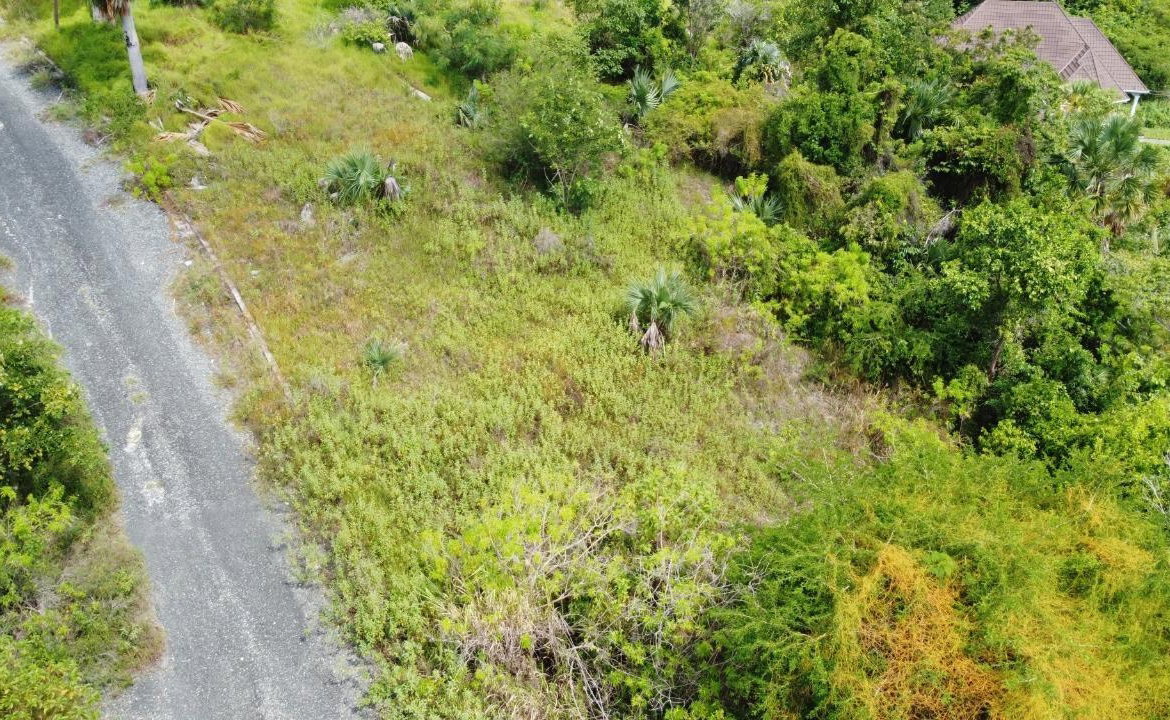 Third image of Culloden, Whitehouse in White House WD, Westmoreland, Jamaica - property is For Sale