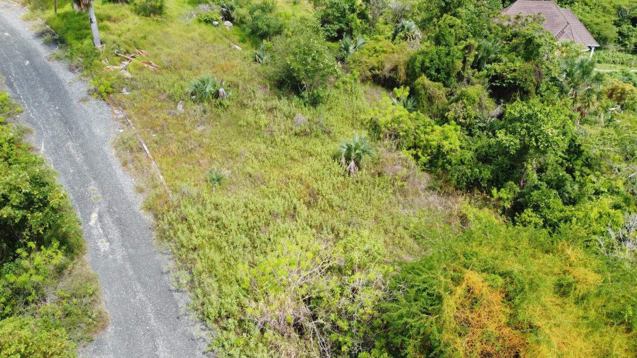 0.55-Acre-Residential-Lot-for-Sale-in-Culloden-Whitehouse-Westmoreland-Jamaica Third image of Culloden, Whitehouse in White House WD, Westmoreland, Jamaica - property is For Sale