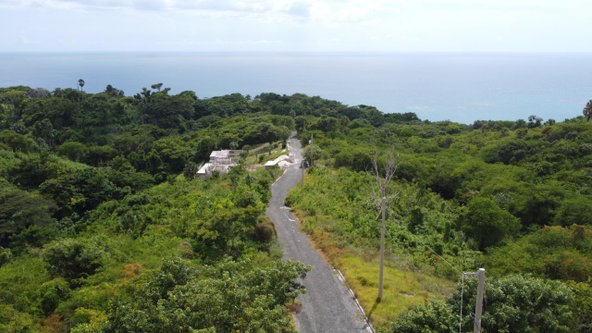 Twenty-Fifth image of Culloden, Whitehouse in White House WD, Westmoreland, Jamaica - property is For Sale