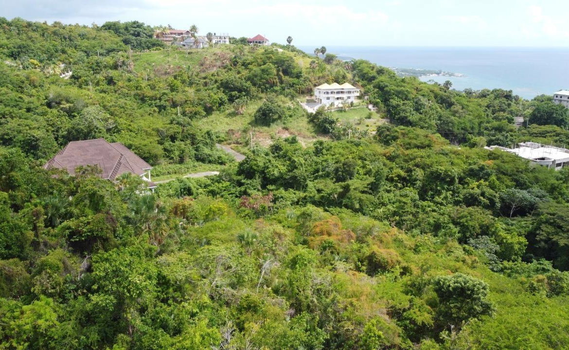 Fourth image of Culloden, Whitehouse in White House WD, Westmoreland, Jamaica - property is For Sale