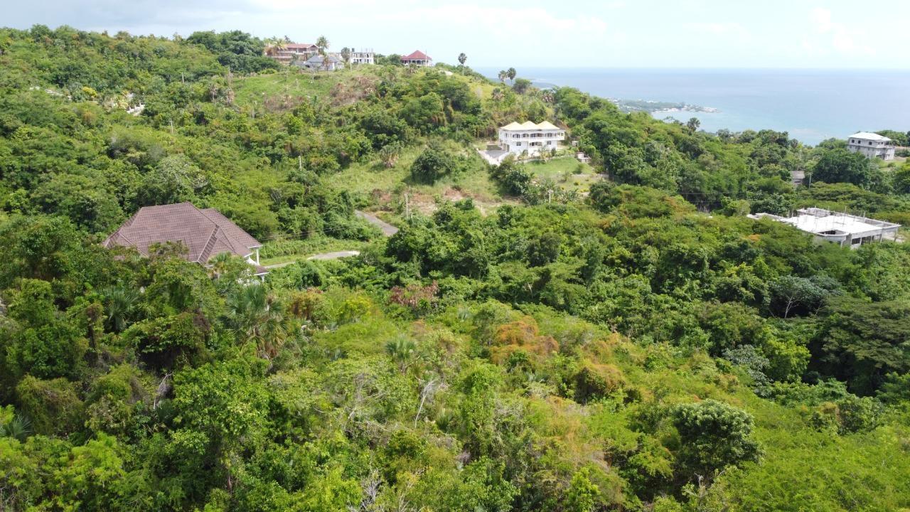 0.55-Acre-Residential-Lot-for-Sale-in-Culloden-Whitehouse-Westmoreland-Jamaica Fourth image of Culloden, Whitehouse in White House WD, Westmoreland, Jamaica - property is For Sale