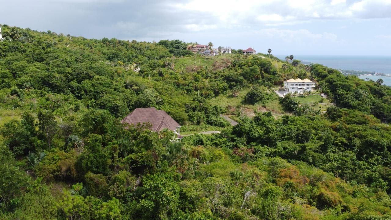 0.55-Acre-Residential-Lot-for-Sale-in-Culloden-Whitehouse-Westmoreland-Jamaica Sixth image of Culloden, Whitehouse in White House WD, Westmoreland, Jamaica - property is For Sale