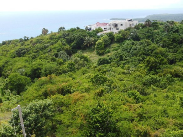 First image of Culloden, Whitehouse in White House WD, Westmoreland, Jamaica - property is For Sale