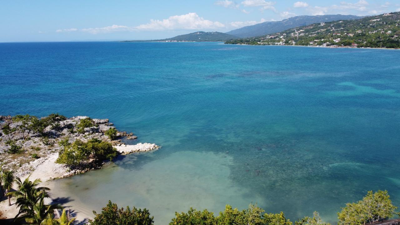 0.55-Acre-Residential-Lot-for-Sale-in-Culloden-Whitehouse-Westmoreland-Jamaica Seventh image of Culloden, Whitehouse in White House WD, Westmoreland, Jamaica - property is For Sale