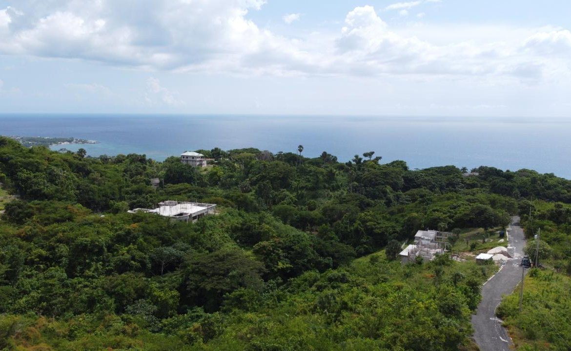 Eighth image of Culloden, Whitehouse in White House WD, Westmoreland, Jamaica - property is For Sale