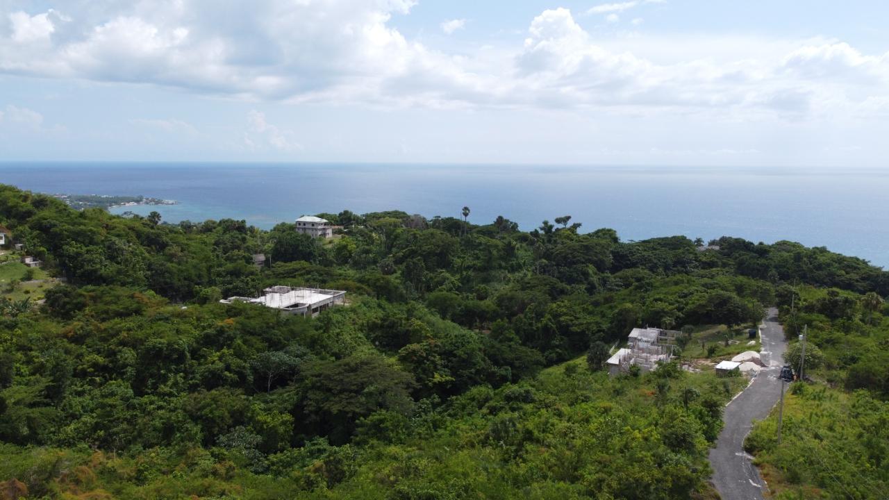 0.55-Acre-Residential-Lot-for-Sale-in-Culloden-Whitehouse-Westmoreland-Jamaica Eighth image of Culloden, Whitehouse in White House WD, Westmoreland, Jamaica - property is For Sale