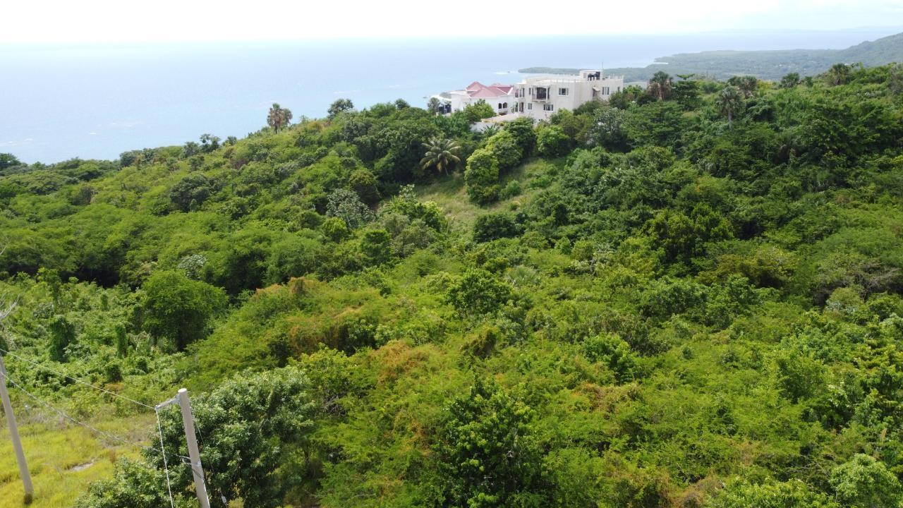 First image of Culloden, Whitehouse in White House WD, Westmoreland, Jamaica - property is For Sale